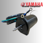 Motore Trim 62Y-43880-02