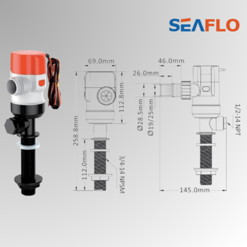 pompa vasca del vivo